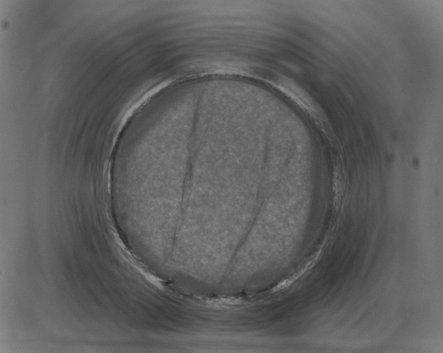 X0000081420790200702092132