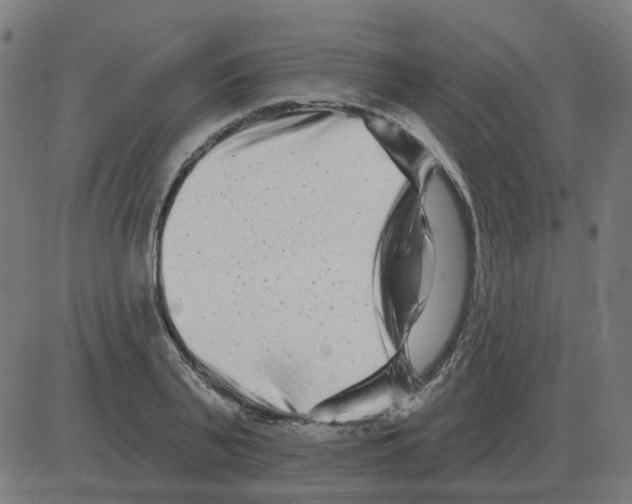 X0000081420791200702092132