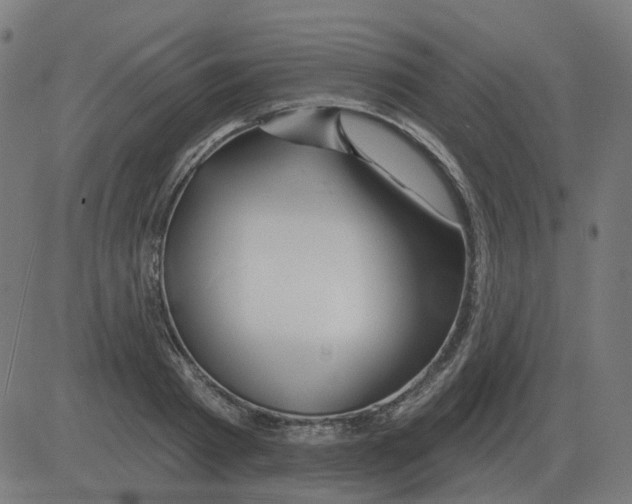 X0000081420793200702092132