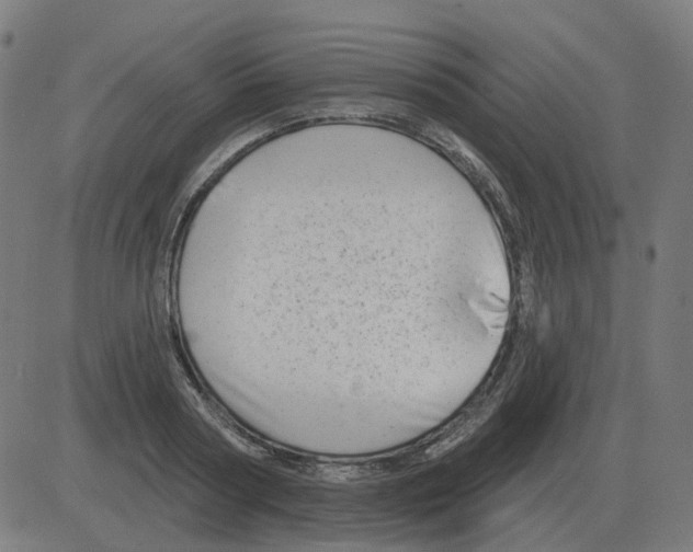 X0000081420794200702092132