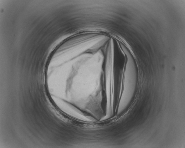 X0000081420795200702092132