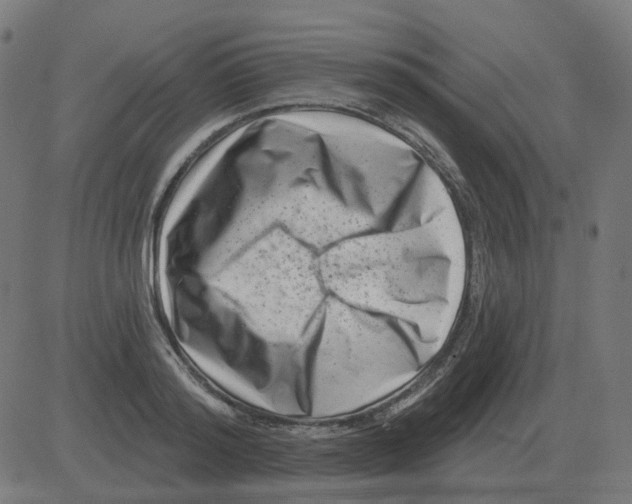 X0000081420796200702092132