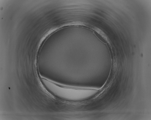 X0000081420797200702092132