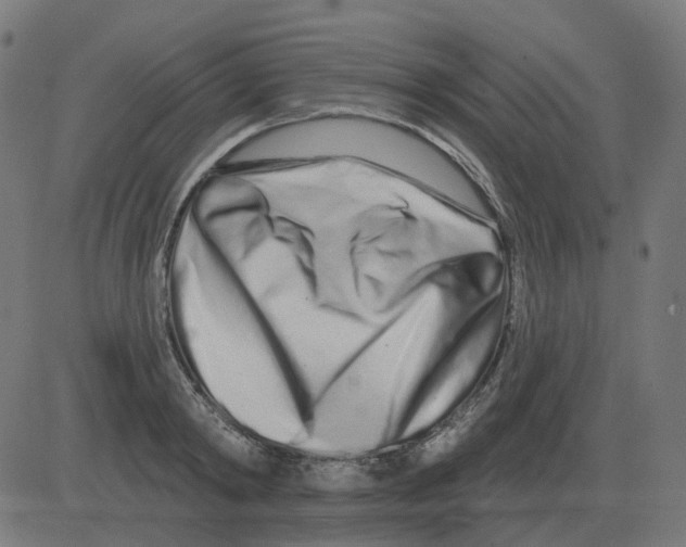 X0000081420798200702092132