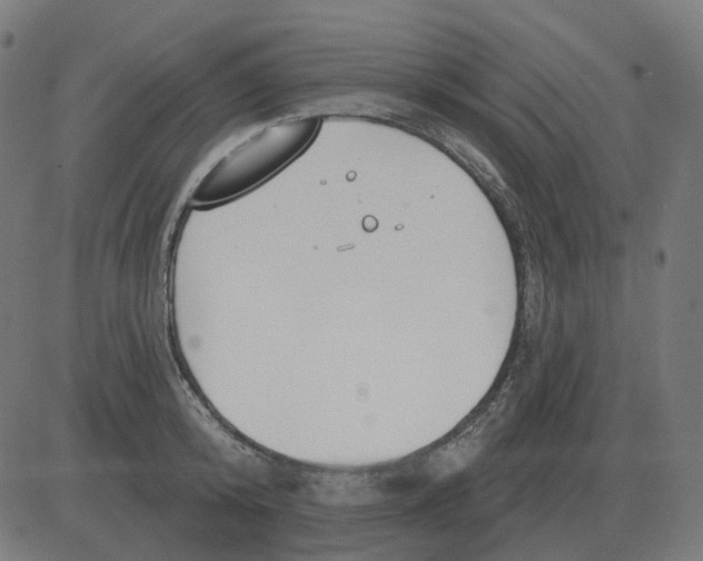 X0000081420800200702092132