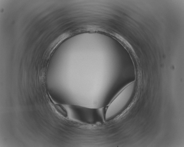 X0000081420801200702092132