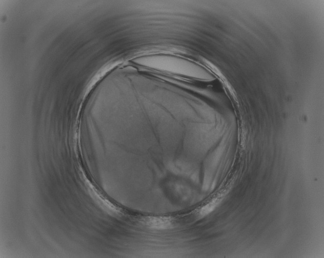 X0000081420802200702092132