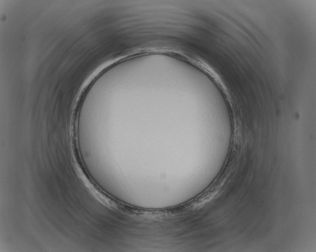 X0000081420803200702092132