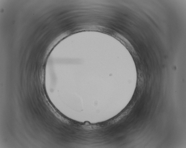 X0000081420804200702092132