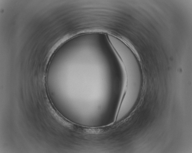 X0000081420805200702092132