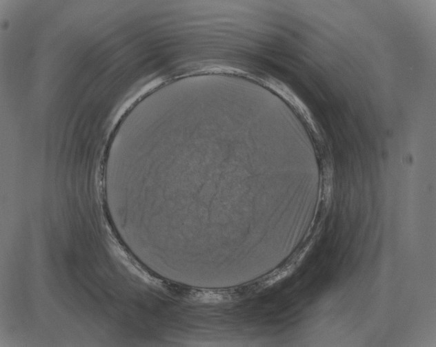 X0000081420806200702092132