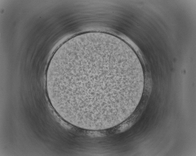 X0000081420807200702092132