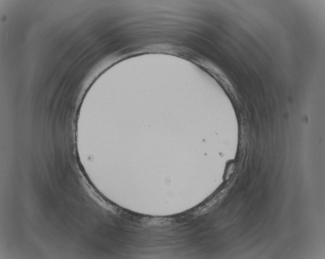 X0000081420808200702092132