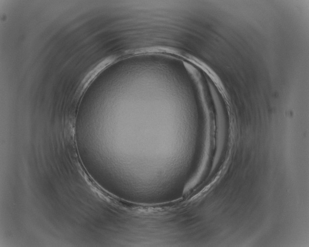 X0000081420809200702092132