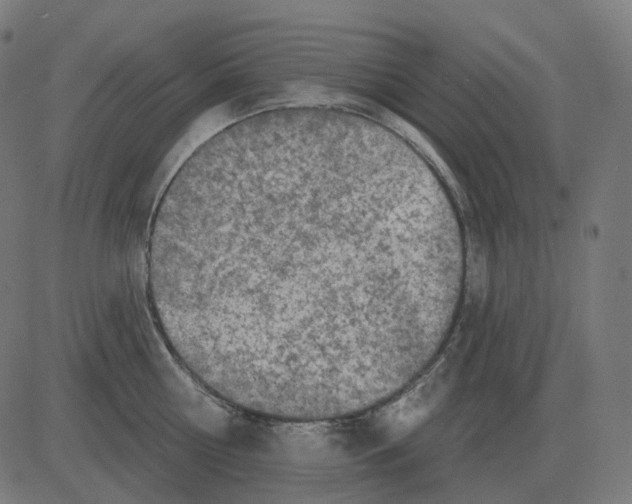 X0000081420810200702092132