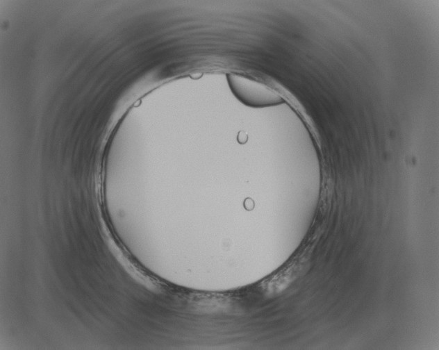 X0000081420811200702092132