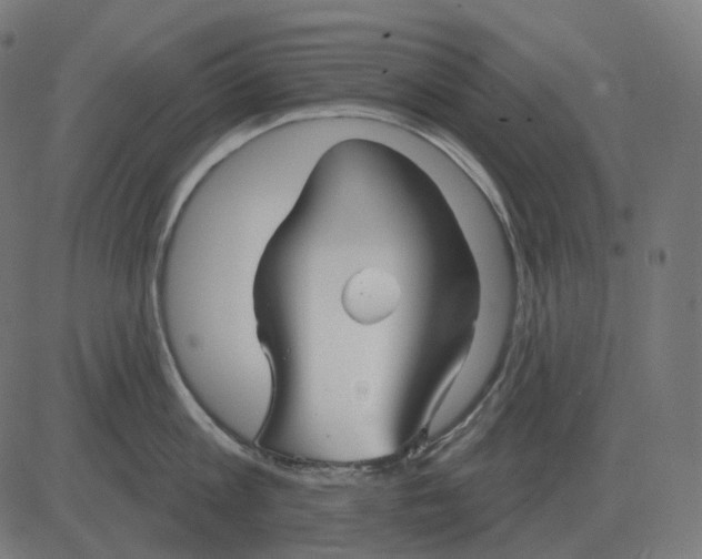 X0000081420813200702092132