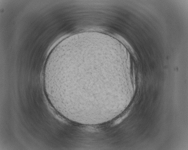 X0000081420814200702092132