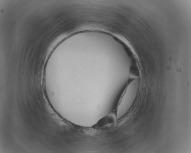 X0000081420815200702092132