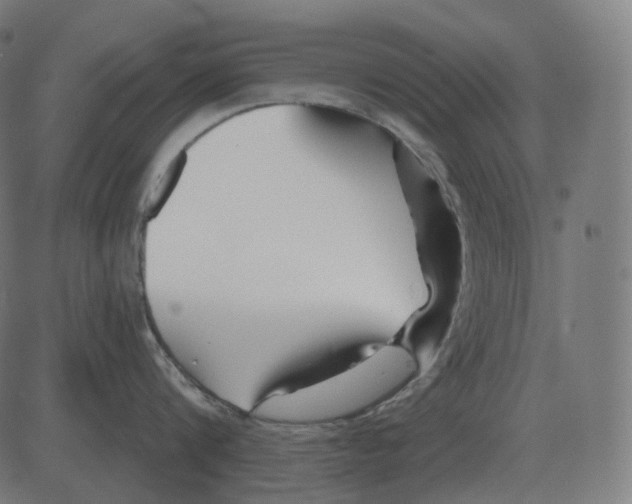 X0000081420816200702092132