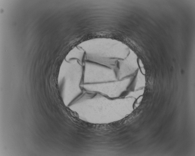 X0000081420817200702092131