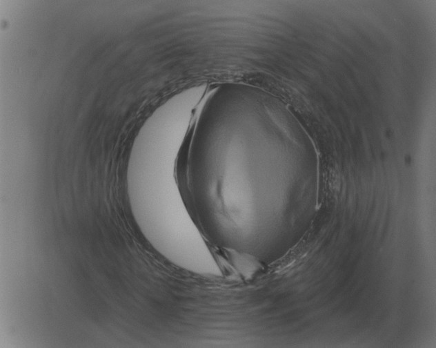 X0000081420818200702092131