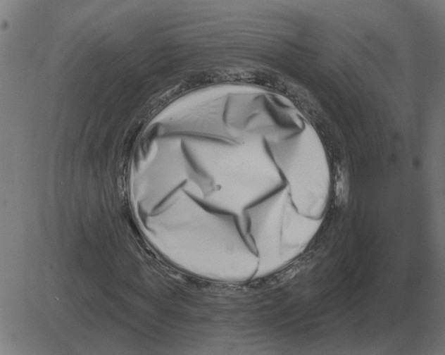 X0000081420819200702092131