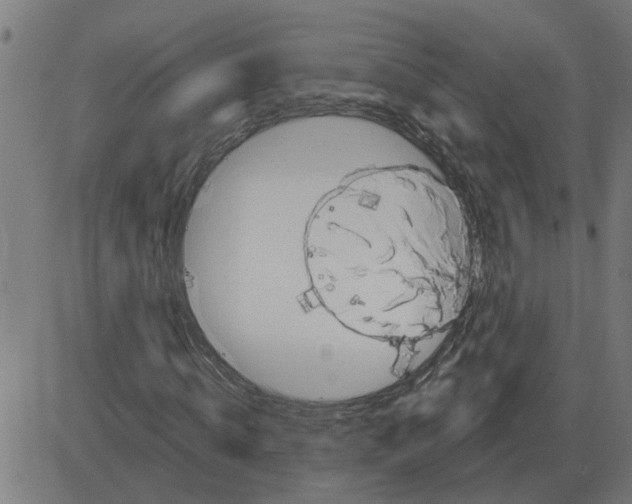 X0000081420820200702092131