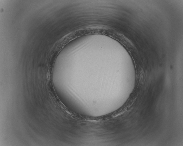 X0000081420821200702092131