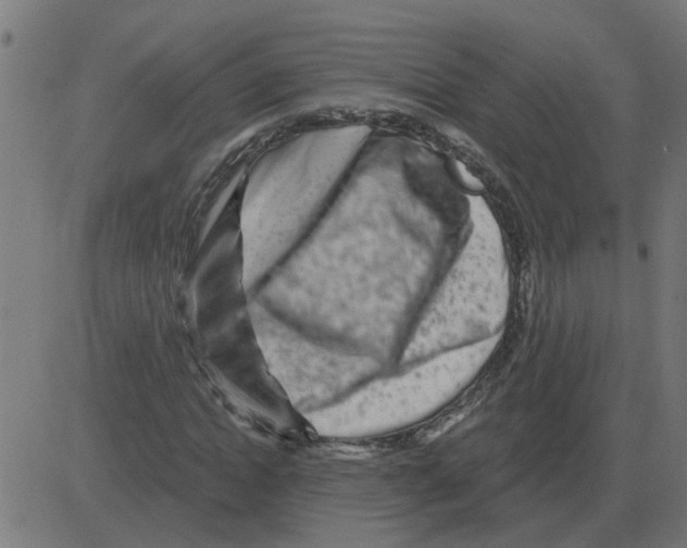 X0000081420822200702092131