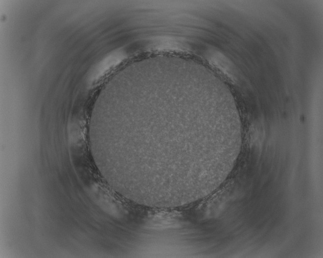 X0000081420824200702092131