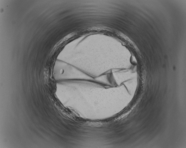 X0000081420825200702092131