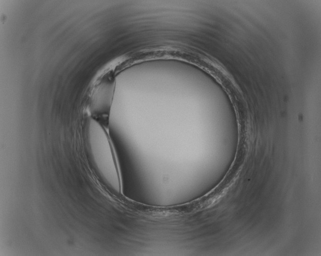 X0000081420826200702092131