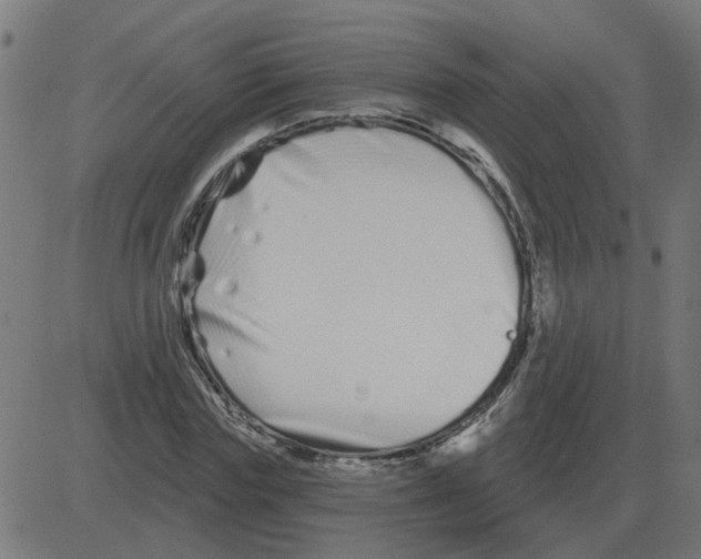 X0000081420827200702092131