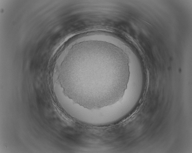 X0000081420828200702092131