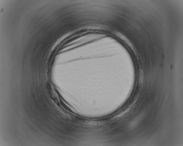 X0000081420829200702092131