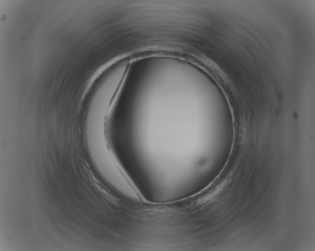 X0000081420830200702092131