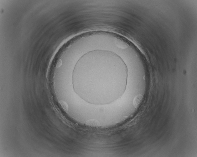 X0000081420832200702092131