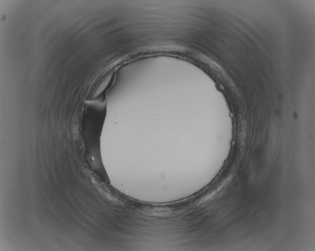 X0000081420833200702092131