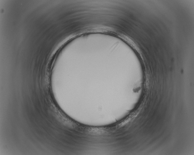 X0000081420835200702092132