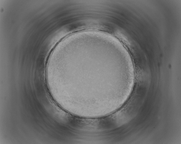 X0000081420836200702092132