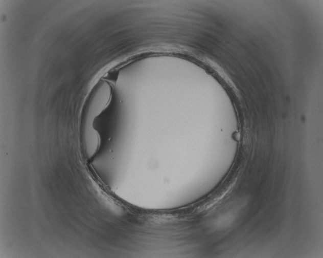 X0000081420837200702092132