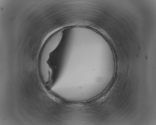 X0000081420838200702092132