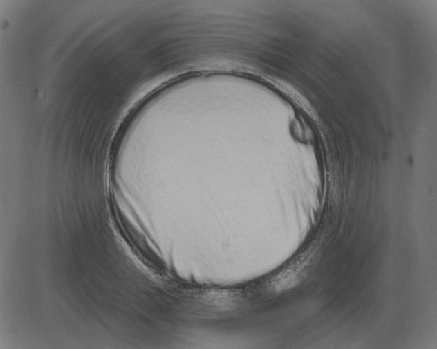 X0000081420839200702092132