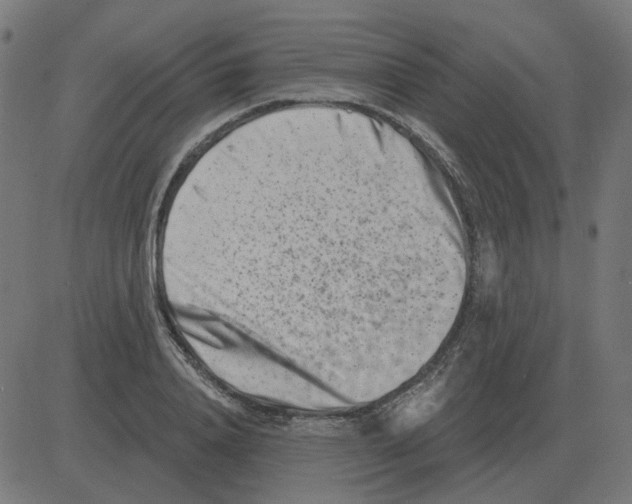 X0000081420840200702092132