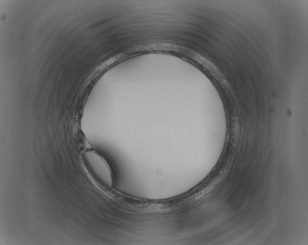 X0000081420841200702092132