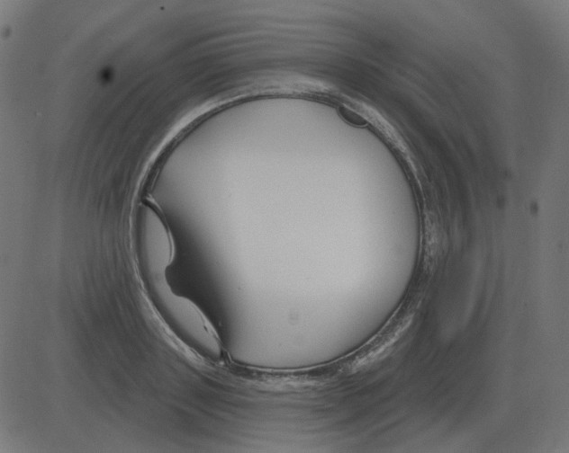 X0000081420843200702092132