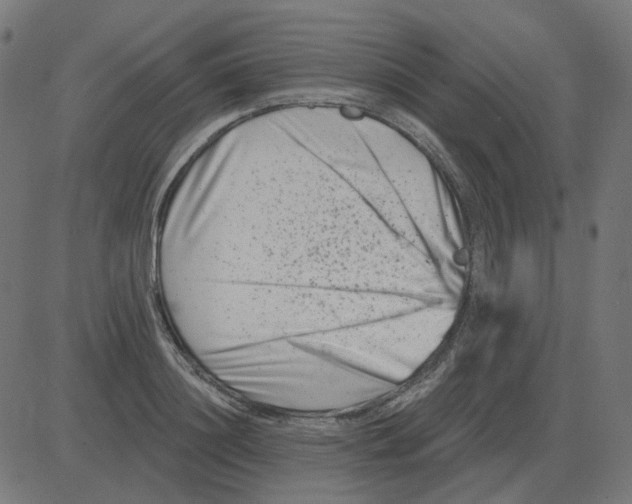 X0000081420844200702092132