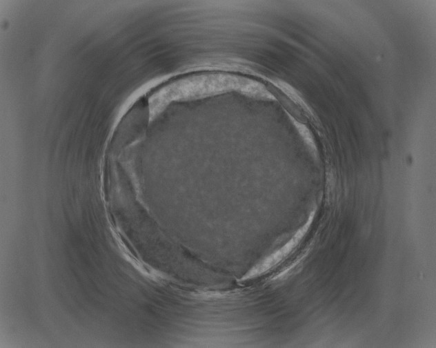 X0000081420846200702092132