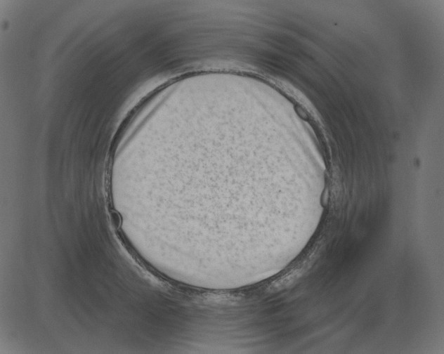 X0000081420847200702092132